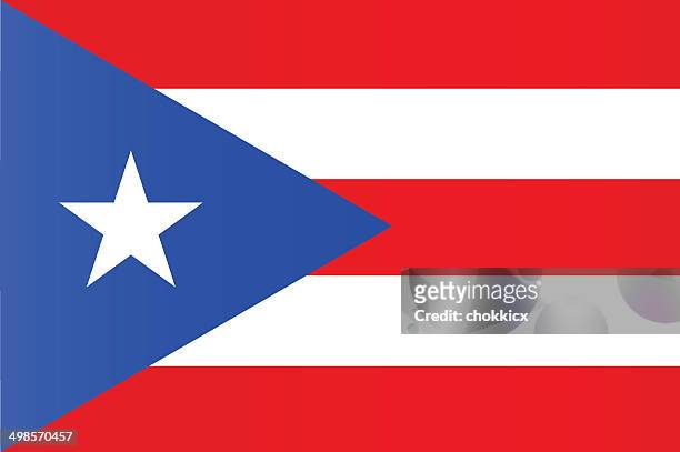 stockillustraties, clipart, cartoons en iconen met puerto rico flag - puerto rico