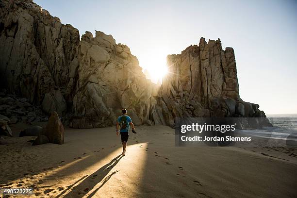 a man walking a beach at sunrise. - cabo san lucas 個照片及圖片檔