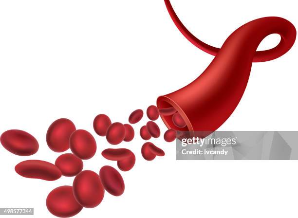 blood vessel - blood veins stock-grafiken, -clipart, -cartoons und -symbole