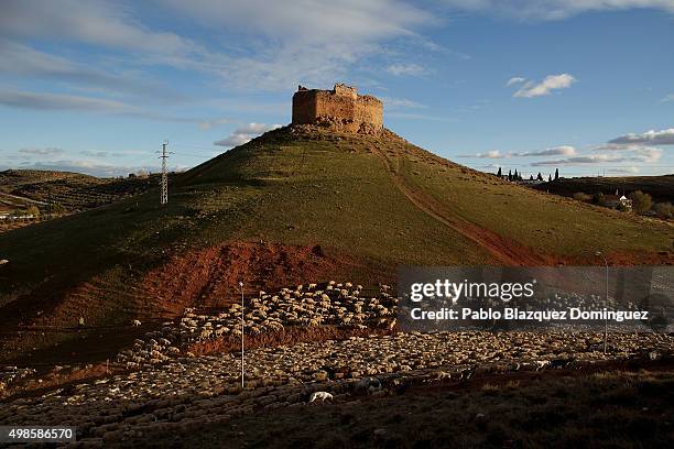 Sheep and goat herd passes by castle along the Canada Real Conquense o de los Serranos on November 22, 2015 in Alhambra, in Ciudad Real province,...
