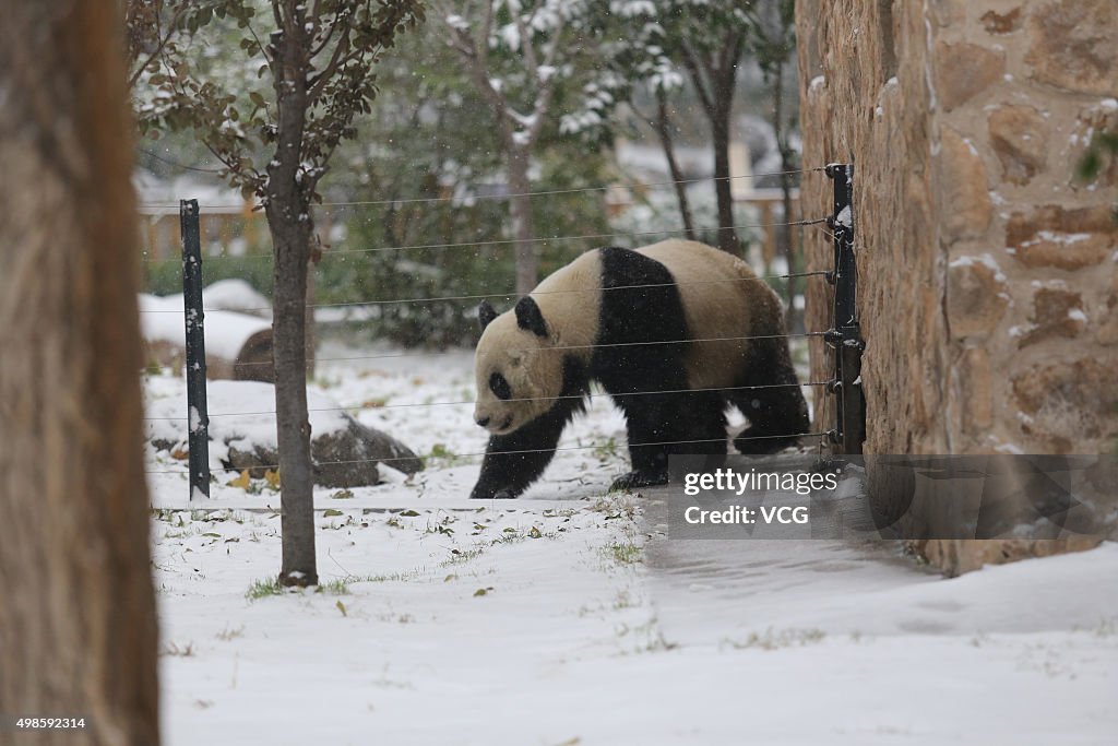 East And Central China Welcome First Snow In Winter