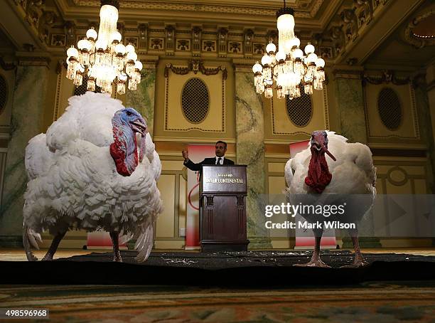 Jihad Douglas, chairman of the National Turkey Federation introduces two turkeys during a media availability at the Willard Inter Continental Hotel...