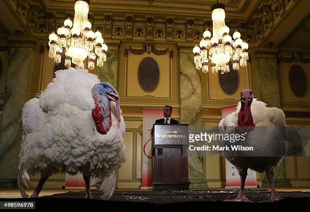 Jihad Douglas, chairman of the National Turkey Federation introduces two turkeys during a media availability at the Willard Inter Continental Hotel...