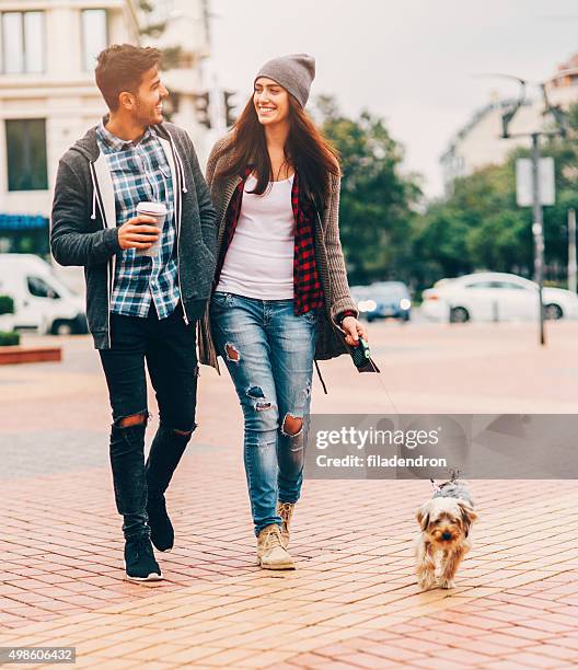 passear o cão - yorkshire terrier imagens e fotografias de stock