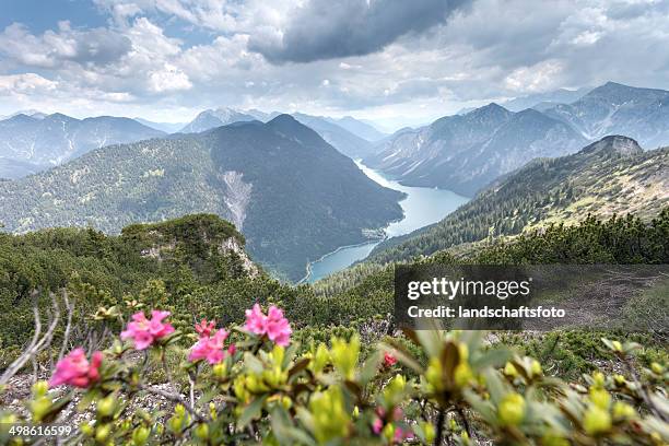 vista desde la cima del monte tauern - hahnenkamm fotografías e imágenes de stock