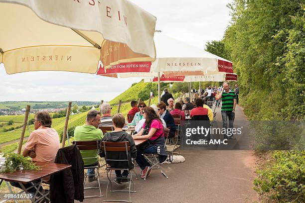 nierstein , red slope, germany - nierstein stock pictures, royalty-free photos & images