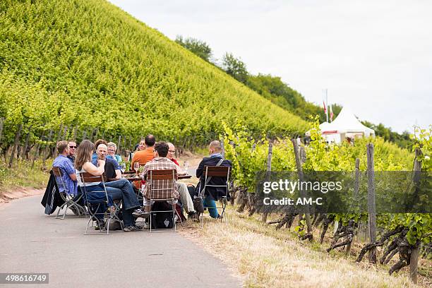 nierstein , red slope, germany - nierstein stock pictures, royalty-free photos & images