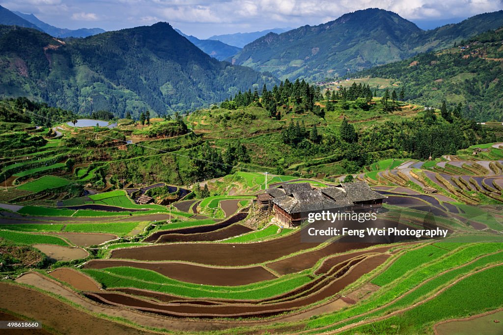 Miao Village by terraced field, Jiabang Guizhou China