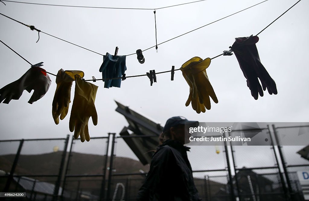 Marine Mammal Center Sees Increase In Number Of Unhealthly Northern Fur Seal Pups