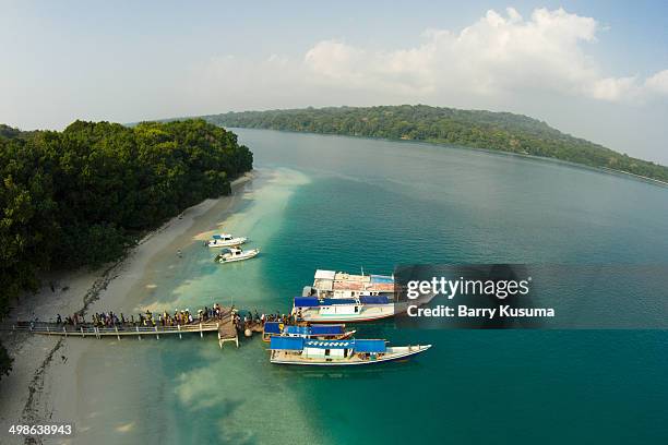 peucang island, ujung kulon national park - banten - barry island panoramic stock-fotos und bilder