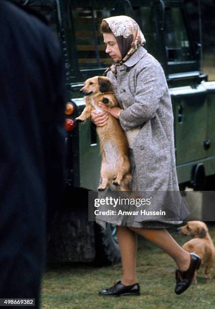 Queen Elizabeth ll relaxes with her pet corgis in Windsor Great Park on May 01, circa 1977 in Windsor, England.