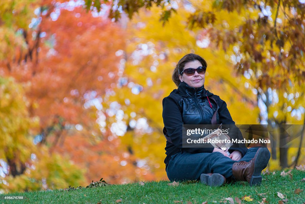 Lady sitting in park with autumn bloom in the background.