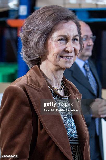 Queen Sofia visits a Food Bank on November 25, 2015 in Madrid, Spain.