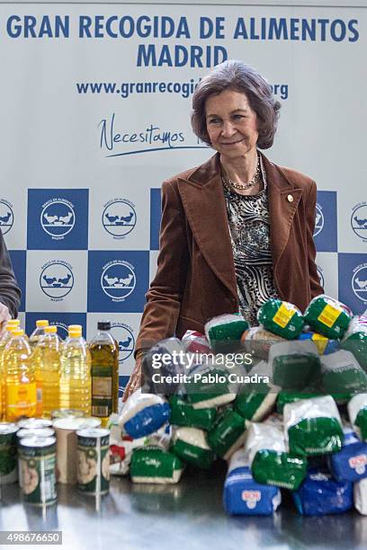 Queen Sofia visits a Food Bank on November 25, 2015 in Madrid, Spain.