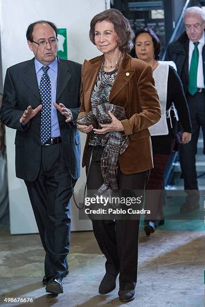 Queen Sofia visits a Food Bank on November 25, 2015 in Madrid, Spain.