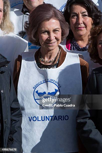 Queen Sofia visits a Food Bank on November 25, 2015 in Madrid, Spain.