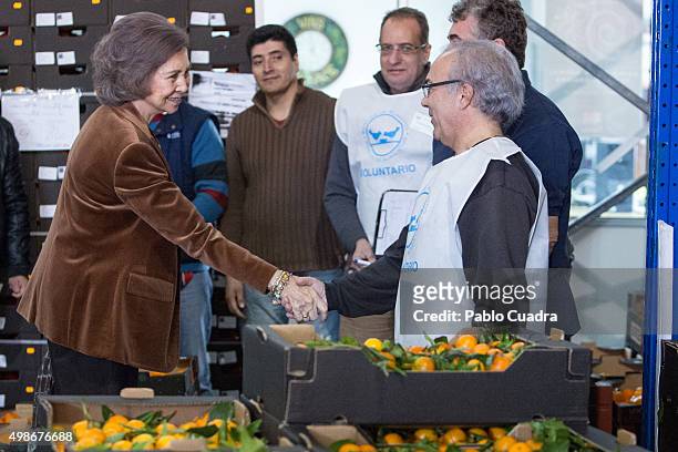 Queen Sofia visits a Food Bank on November 25, 2015 in Madrid, Spain.