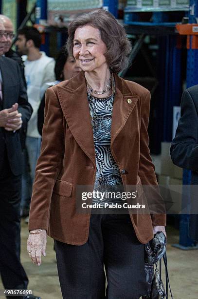 Queen Sofia visits a Food Bank on November 25, 2015 in Madrid, Spain.