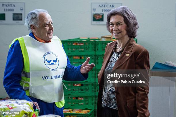 Queen Sofia visits a Food Bank on November 25, 2015 in Madrid, Spain.