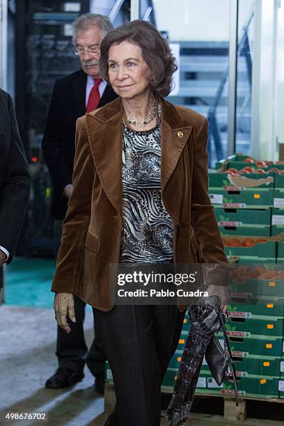 Queen Sofia visits a Food Bank on November 25, 2015 in Madrid, Spain.