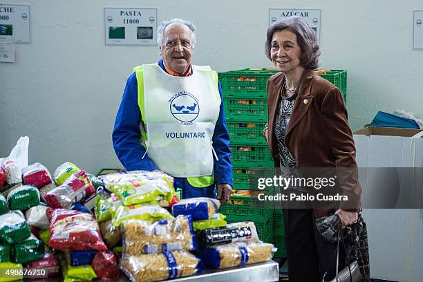 Queen Sofia visits a Food Bank on November 25, 2015 in Madrid, Spain.