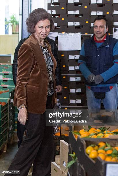 Queen Sofia visits a Food Bank on November 25, 2015 in Madrid, Spain.