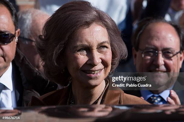 Queen Sofia visits a Food Bank on November 25, 2015 in Madrid, Spain.