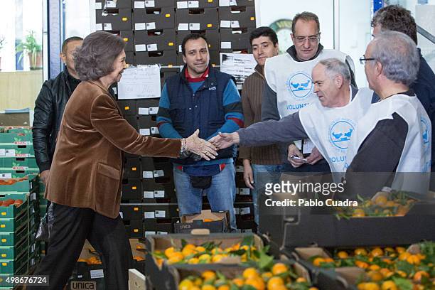 Queen Sofia visits a Food Bank on November 25, 2015 in Madrid, Spain.