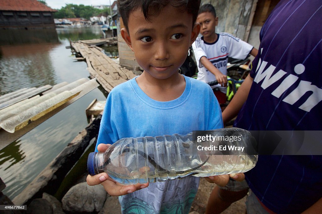 Floods Threaten Indonesia's Sinking City