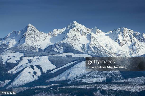 twin sisters range, north cascades washington - coberto de neve imagens e fotografias de stock
