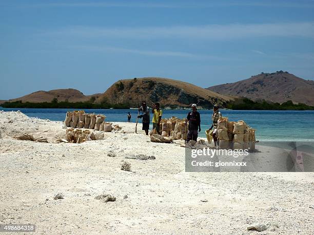 local workers on desert island, komodo national park - indonesia - oost nusa tenggara stockfoto's en -beelden