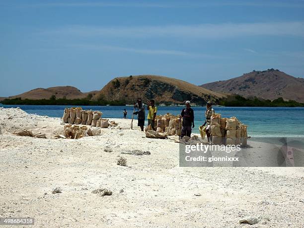 local workers on desert island, komodo national park - indonesia - east nusa tenggara stock pictures, royalty-free photos & images