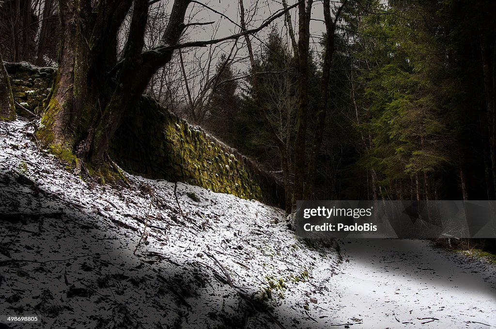 Walking in a winter wood, Croce d'Aune