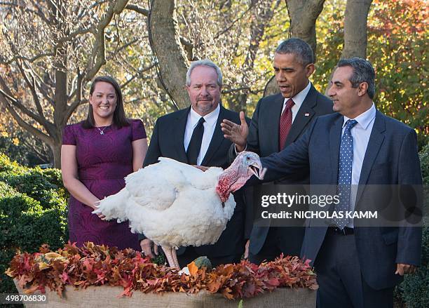 President Barack Obama "pardons" the National Thanksgiving Turkey in the Rose Garden at the White House in Washington, DC, on November 25, 2015. The...