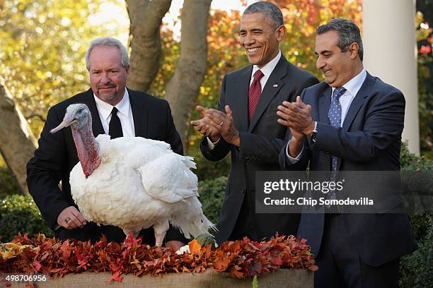 President Barack Obama "pardons" Abe, a 42-pound male turkey during a ceremony with Jihad Douglas , chairman of the National Turkey Federation, in...