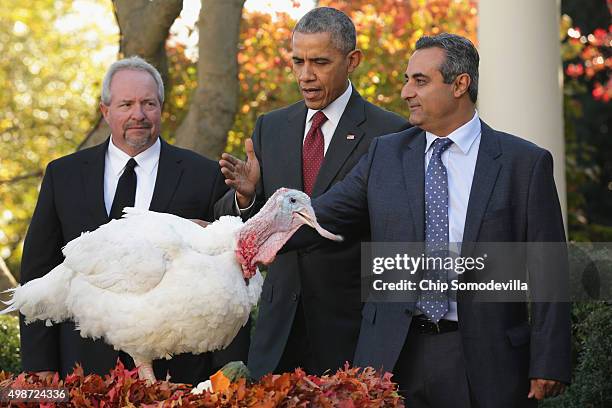 President Barack Obama "pardons" Abe, a 42-pound male turkey during a ceremony with National Turkey Federation Chairman Jihad Douglas and turkey...