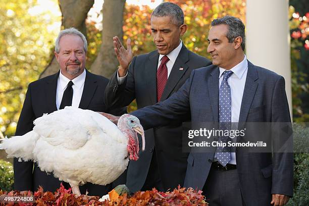 President Barack Obama "pardons" Abe, a 42-pound male turkey during a ceremony with National Turkey Federation Chairman Jihad Douglas and turkey...