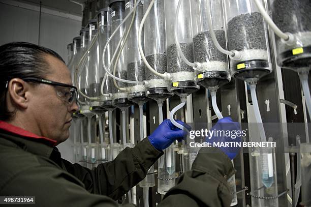 Bioleaching Kit 11 Bioleaching Stock Photos, High-Res Pictures, and Images - Getty Images