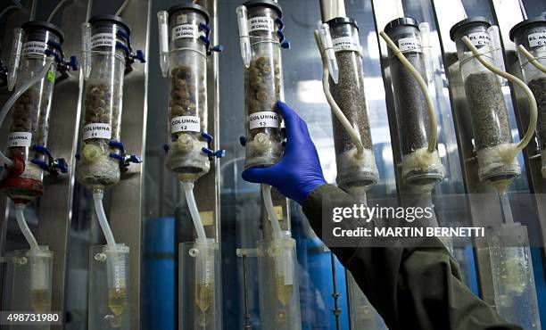 Bioleaching Kit 11 Bioleaching Stock Photos, High-Res Pictures, and Images - Getty Images