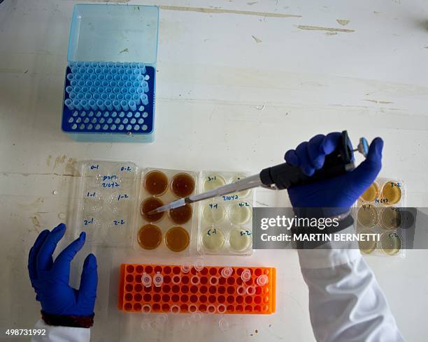 Bioleaching Kit 11 Bioleaching Stock Photos, High-Res Pictures, and Images - Getty Images