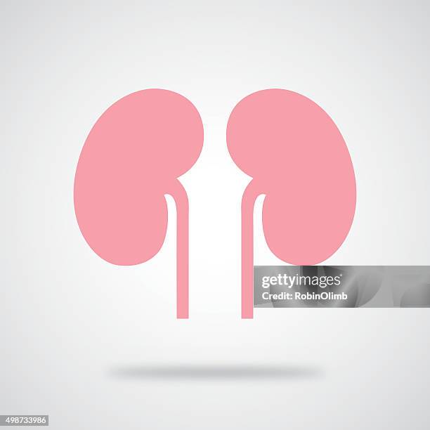 pink kidneys icon - human kidney stock illustrations