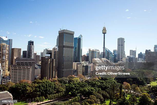 hyde park in the centre of sydney - hyde park sydney stock pictures, royalty-free photos & images