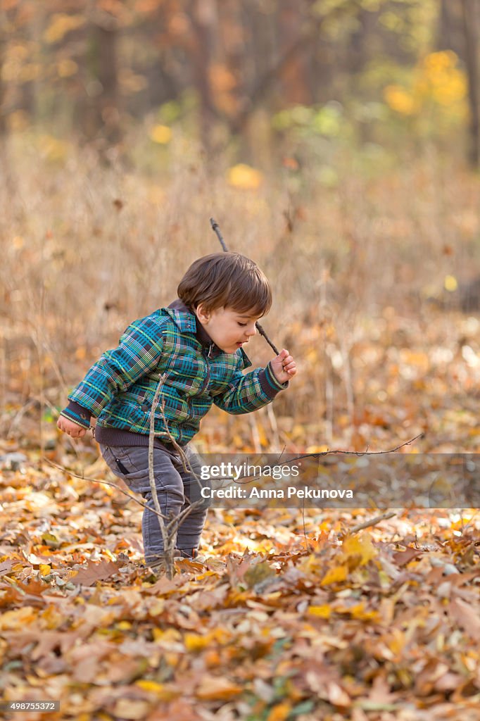 Toddler boy punching autmn leaves with a stick