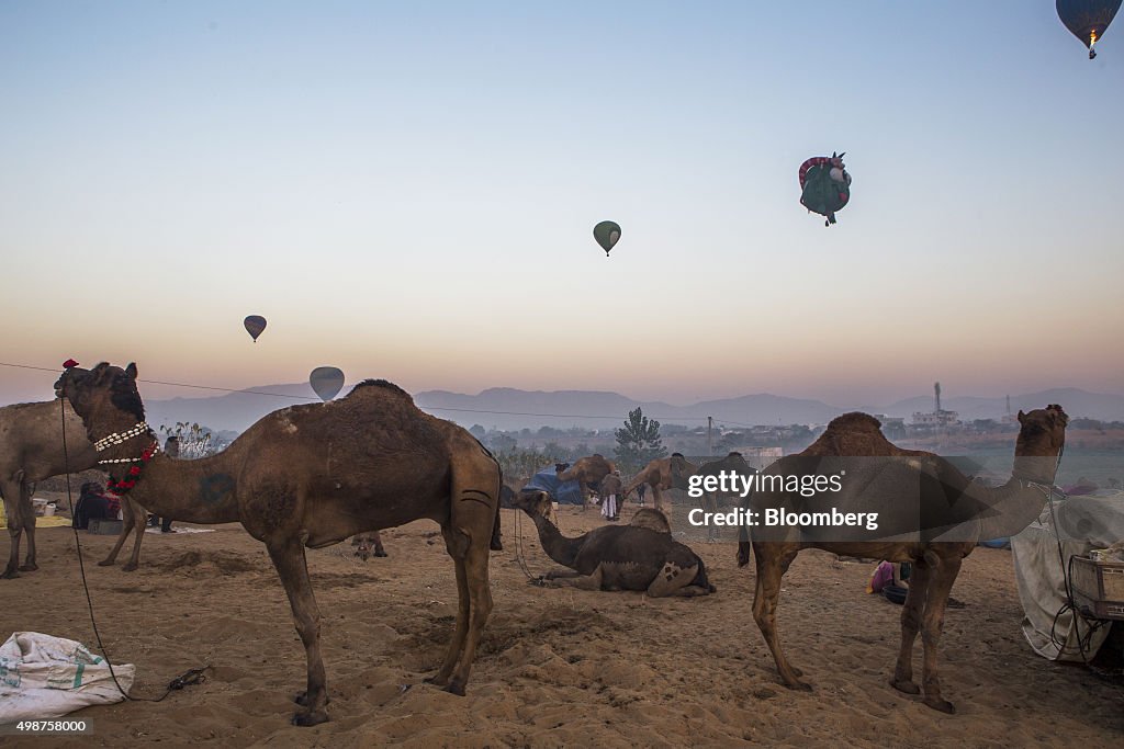 Pushkar Camel Fair Lights Up the Indian Thar Desert