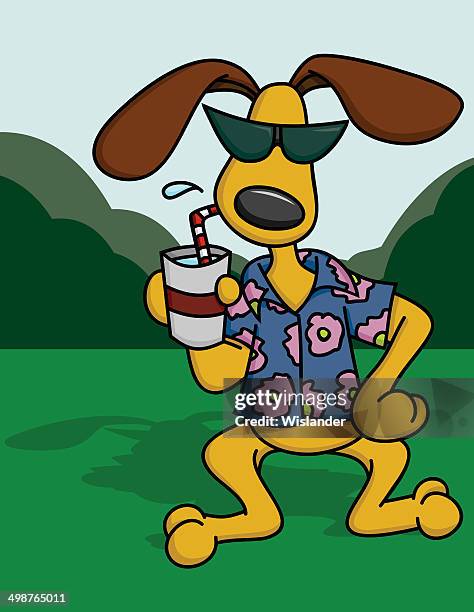 ilustrações, clipart, desenhos animados e ícones de cão de verão - camisa havaiana
