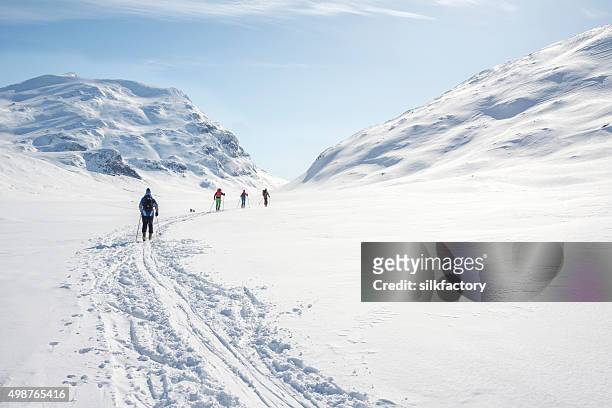 backcountry skiers in jotunheimen national park - happy easter bildbanksfoton och bilder