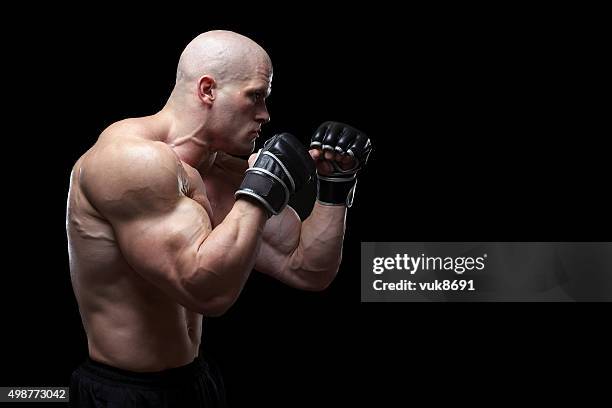 ultimate fighter - fighter portraits 2015 stockfoto's en -beelden