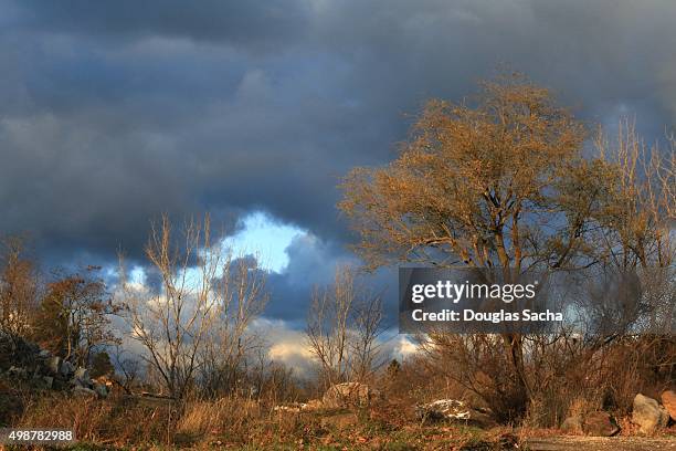 Maple Ridge Rural Pictures 122 Maple Ridge Location Stock Photos, High-Res Pictures, and Images ...