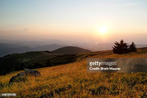 whitetop mountain at sunset, appalachian trail, virginia - damascus - fotografias e filmes do acervo
