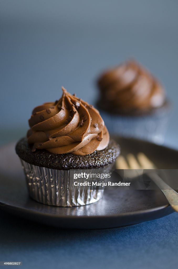 Chocolate cupcake with chocolate frosting